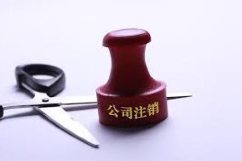 拉萨注销一个公司，需要去几个部门？整体时间需要多久？大概流程是怎样的？