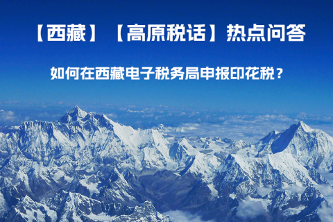 如何在西藏自治区电子税务局申报印花税？