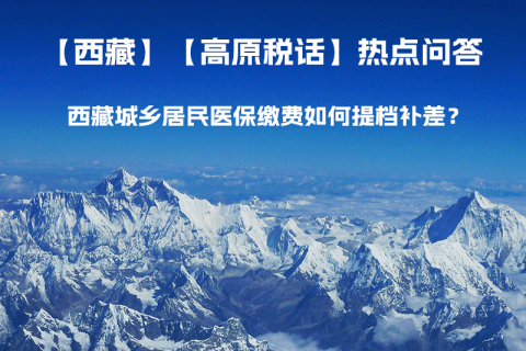 西藏城乡居民医保缴费如何提档补差？