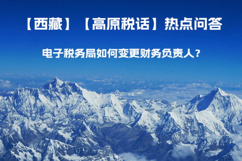 电子税务局如何变更财务负责人？