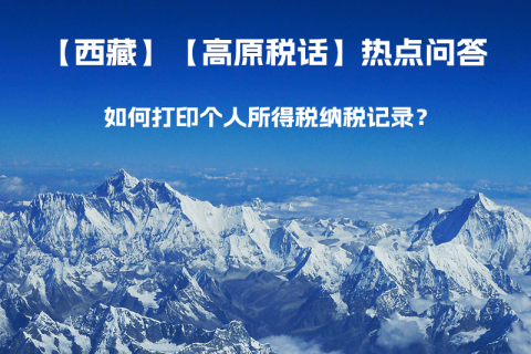 如何打印个人所得税纳税记录？