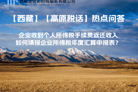 企业收到个人所得税手续费返还收入，如何填报企业所得税年度汇算申报表？