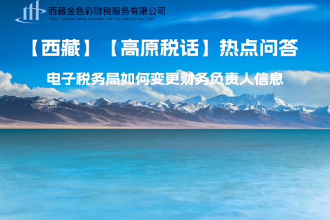 西藏电子税务局如何变更财务负责人信息？